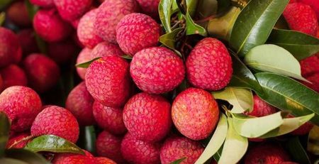 Boombai lychee